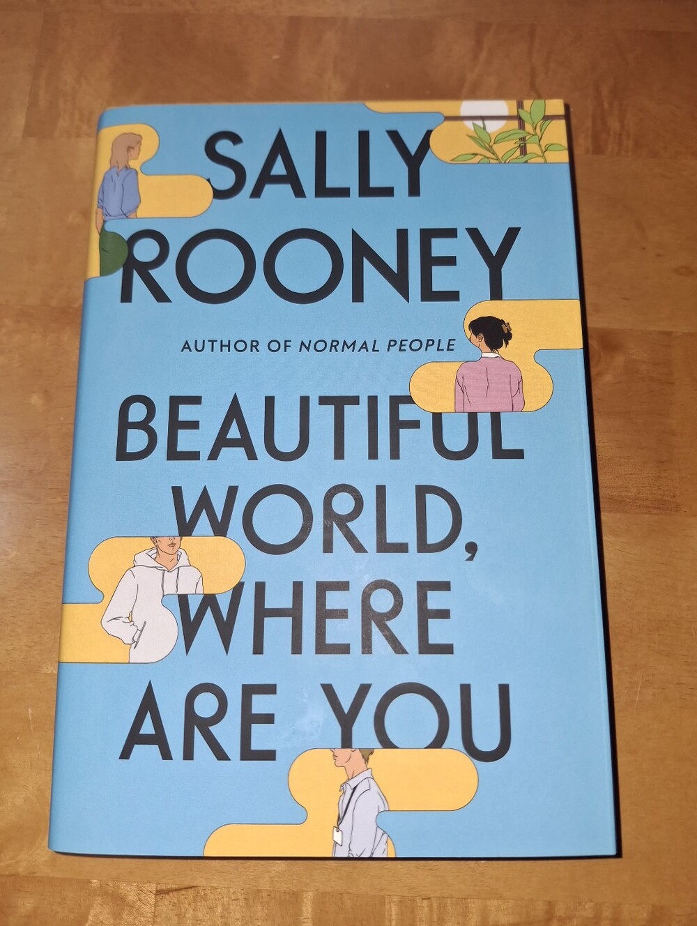 Beautiful World, Where Are You - Sally Rooney - Hard Cover Book